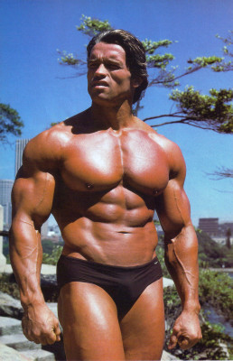 Arnold Schwarzenegger pic #86465